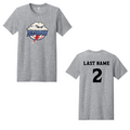 Blue Storm Baseball Logo