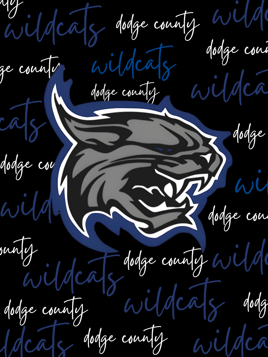 Dodge County Wildcats Boys Fleece Blanket