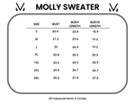 Load image into Gallery viewer, Molly Sweater - Grey
