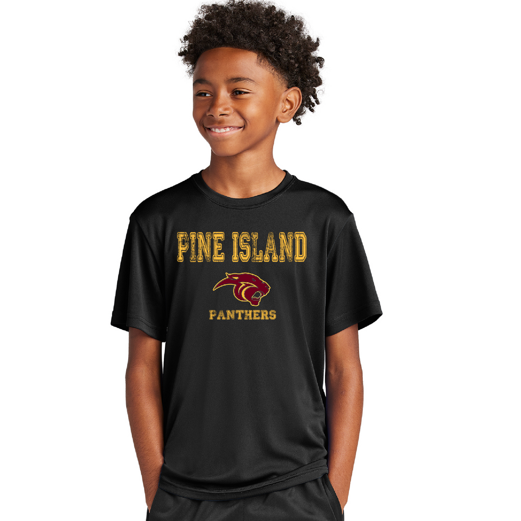 Pine Island Panthers Game Day Tee- Youth & Adult!